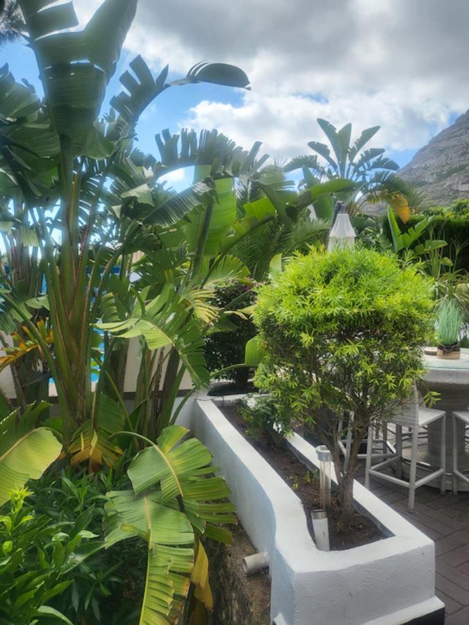 Villa Coma デニア エクステリア 写真